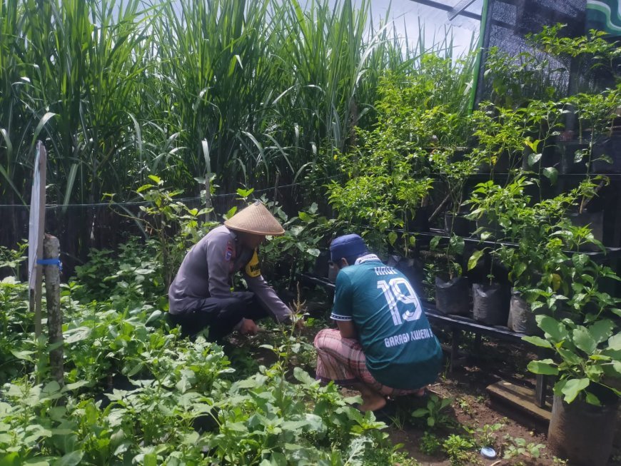 Bhabinkamtibmas dan Warga Bersama Wujudkan Ketahanan Pangan di Kabupaten Madiun